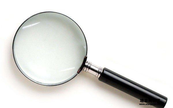 網站收錄突然降了?這有你想知道的原因! 網站收錄