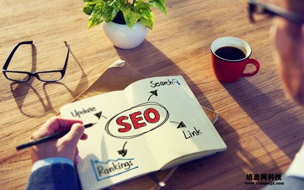 專業百度seo優化公司有什么潛力