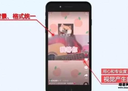 成都建站