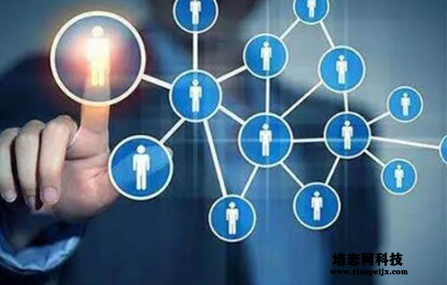 社交電商平臺是什么意思 社交電商平臺是什么意思